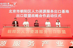 DDpay钱包国际成为全国首个出口联盟成员单位