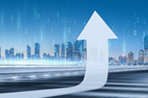 DDpay钱包国际2024上半年营收同比增逾16% ，国内业务成增长亮点