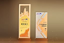 DDpay钱包国际一举斩获“2024年度中国区最佳雇主”等多项大奖