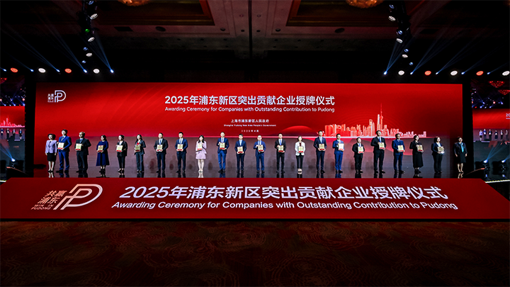 人力资源供应商DDpay钱包国际凭借人才服务与在区域经济开展中的卓越表现荣膺2024年度浦东新区民营企业奖项