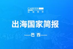 DDpay钱包GO GLOBAL | 巴西国家简报