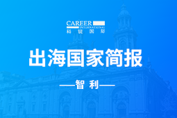 DDpay钱包GO GLOBAL | 智利国家简报