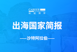 DDpay钱包GO GLOBAL | 沙特阿拉伯国家简报